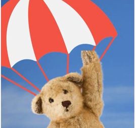 teddy